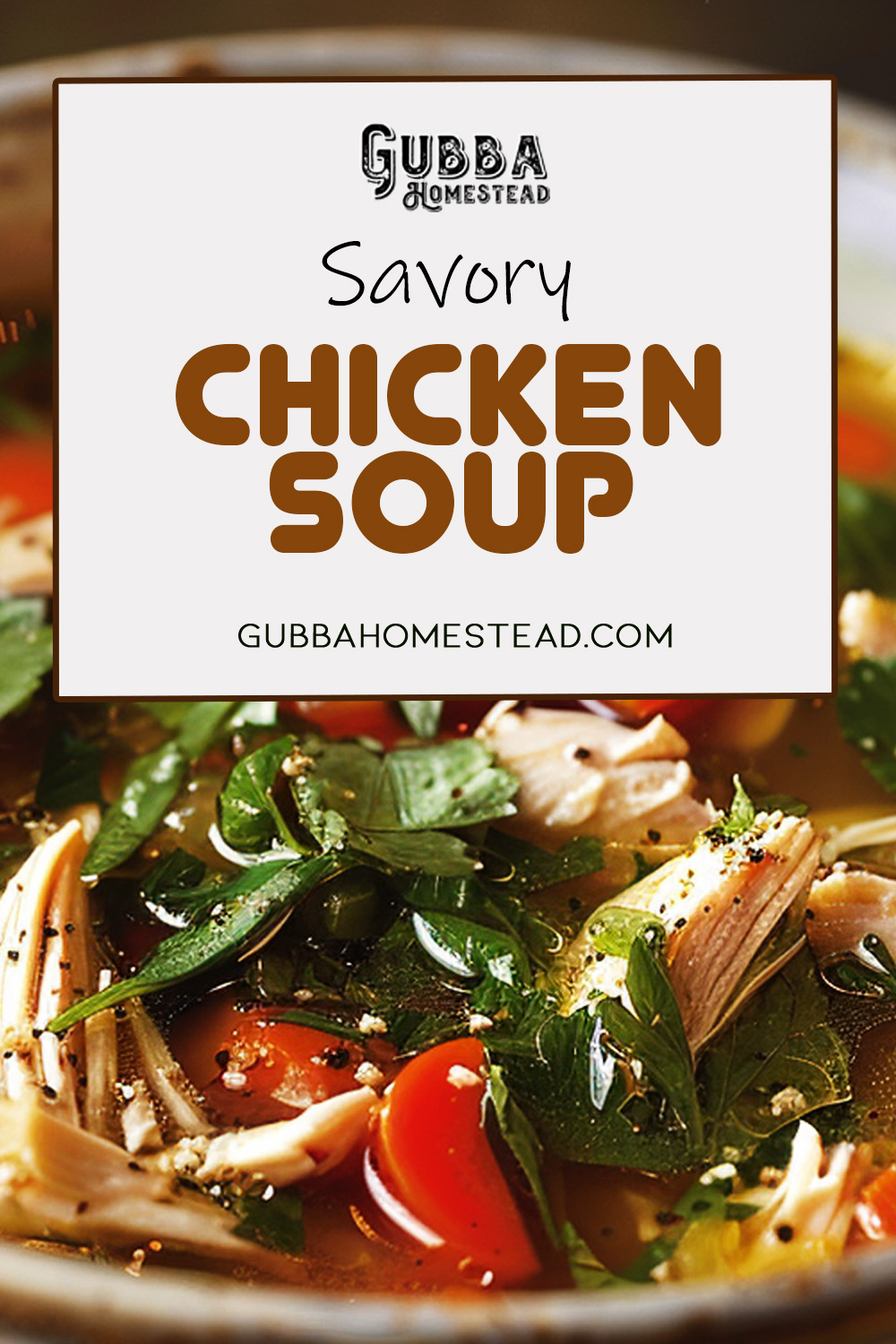 Savory Chicken Soup