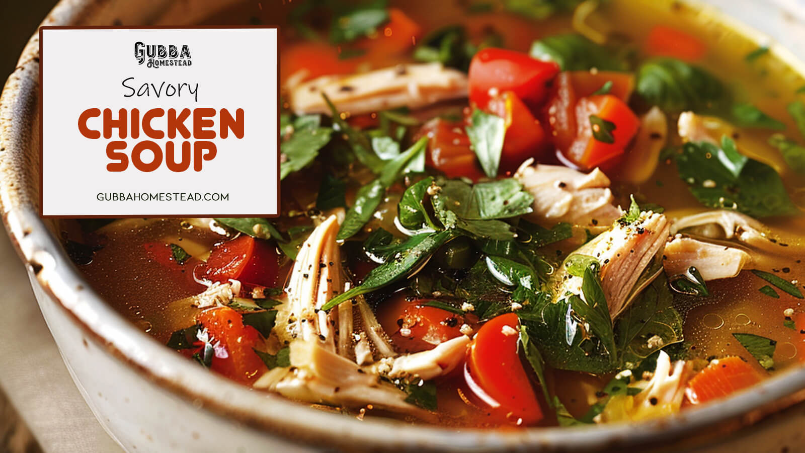 Savory Chicken Soup - Gubba Homestead