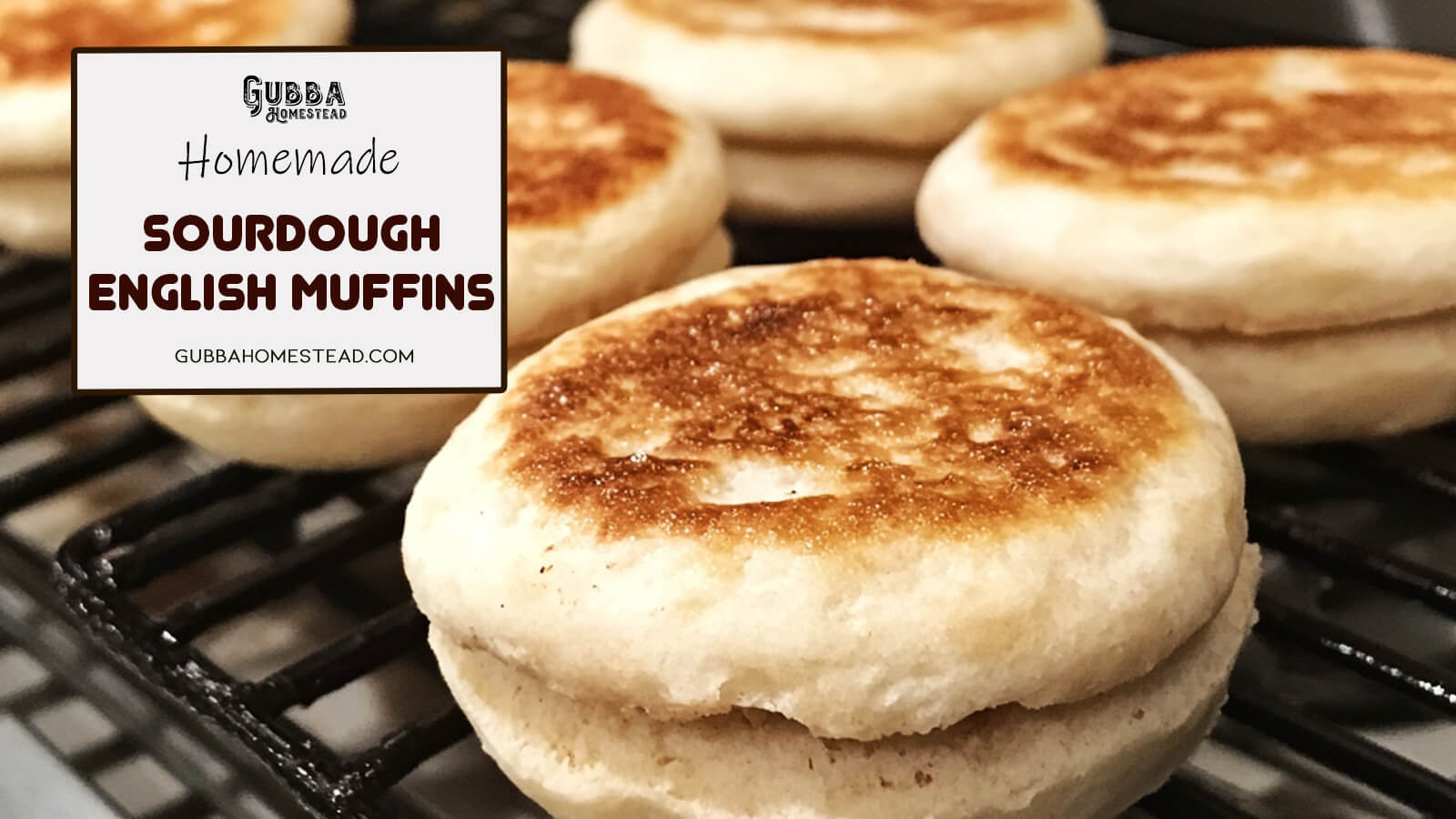 Amazing Homemade Sourdough English Muffins - Gubba Homestead