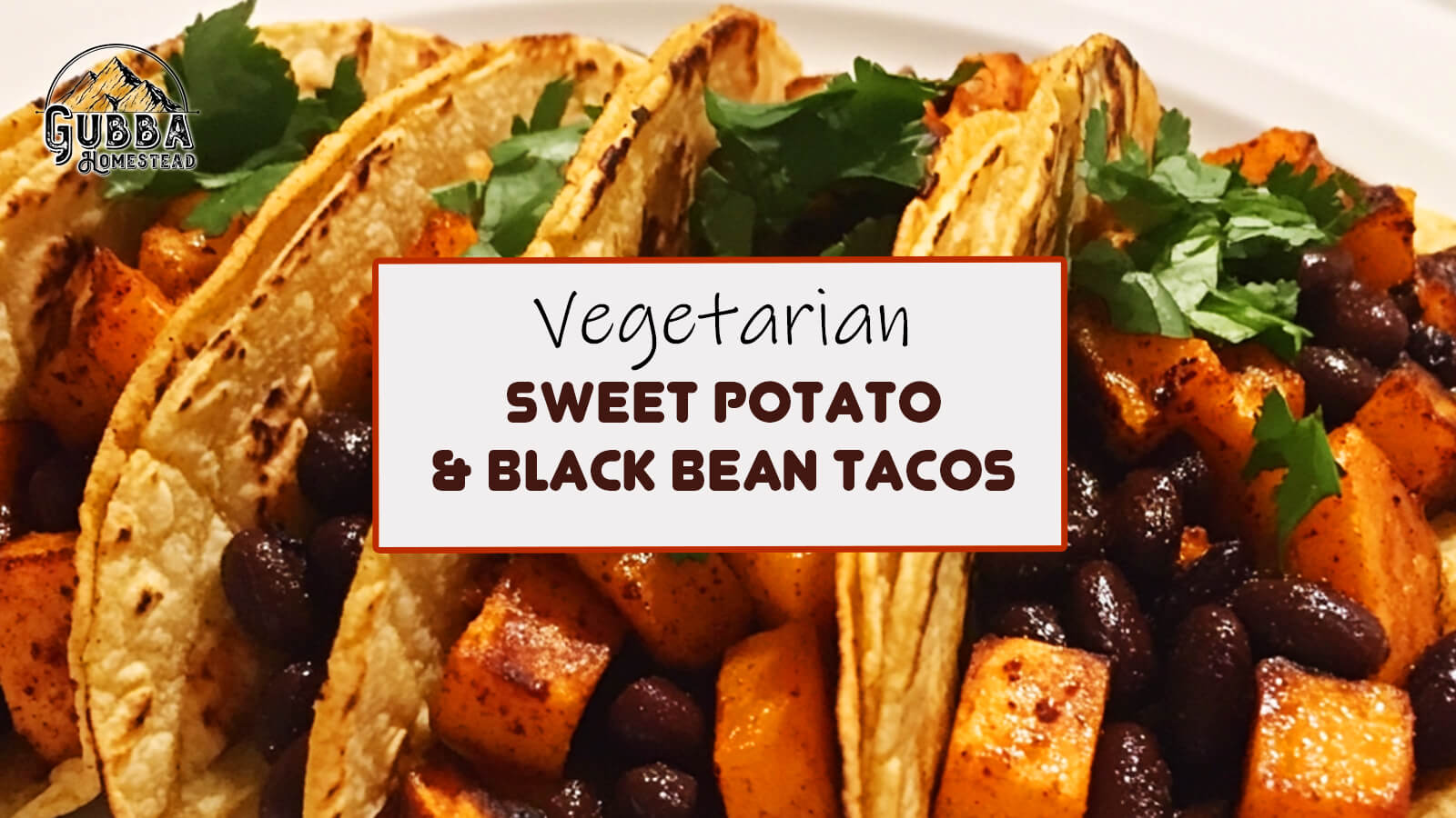 Vegetarian Tacos Recipe Sweet Potato and Black Beans - Gubba Homestead