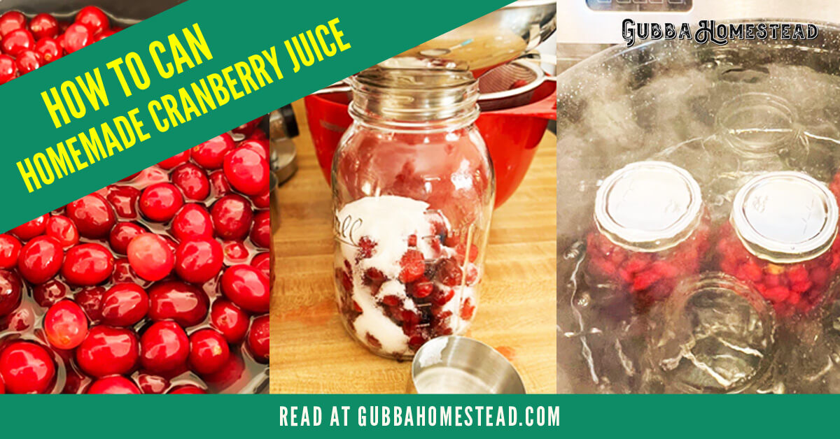 https://gubbahomestead.com/wp-content/uploads/2022/01/cran-juice-socials.jpg