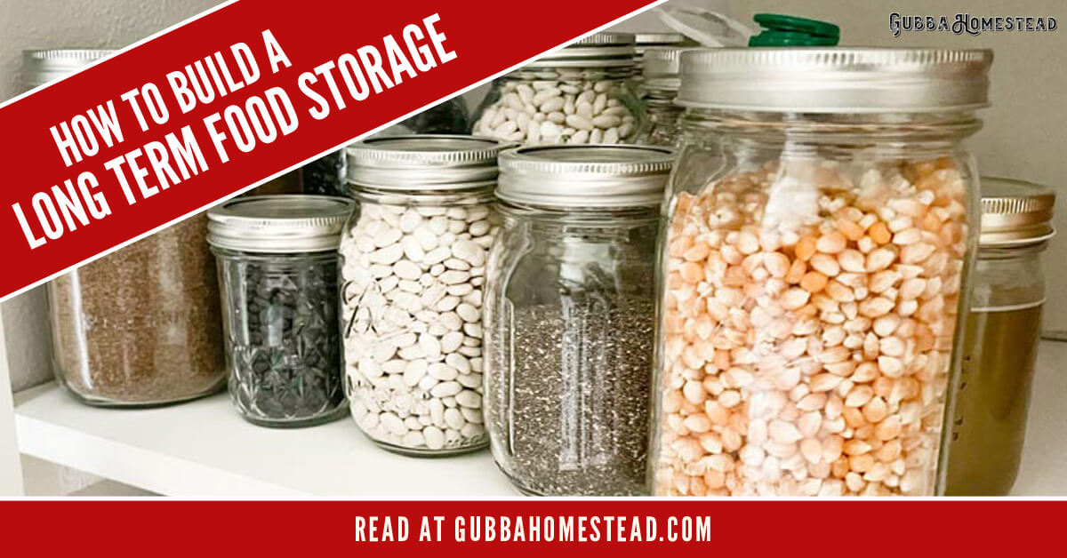 Long Term Food Storage: Best Containers and Treatment Methods