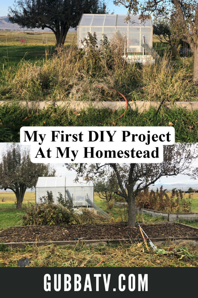 First Homestead Project Garden Bed Cleanup