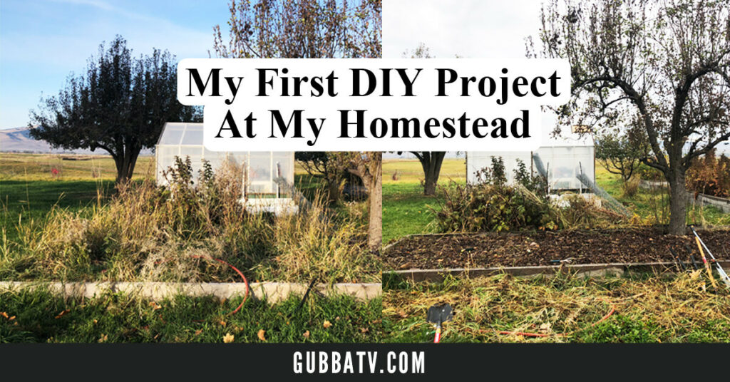 First Homestead Project Garden Bed Cleanup Gubba Homestead