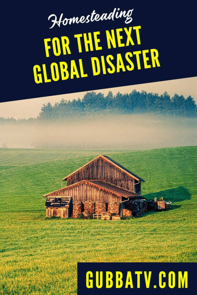 Homesteading For The Next Global Disaster