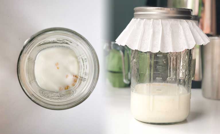 milk kefir in mason jars