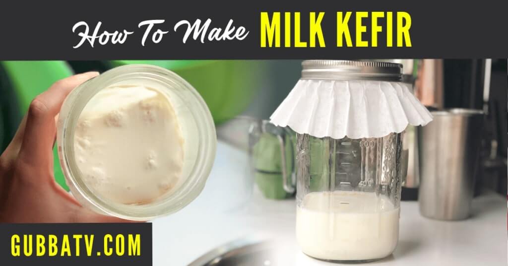 How To Make Milk Kefir - Gubba Homestead