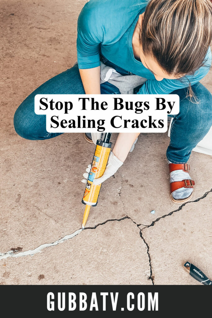 Stop Bugs By Sealing Cracks