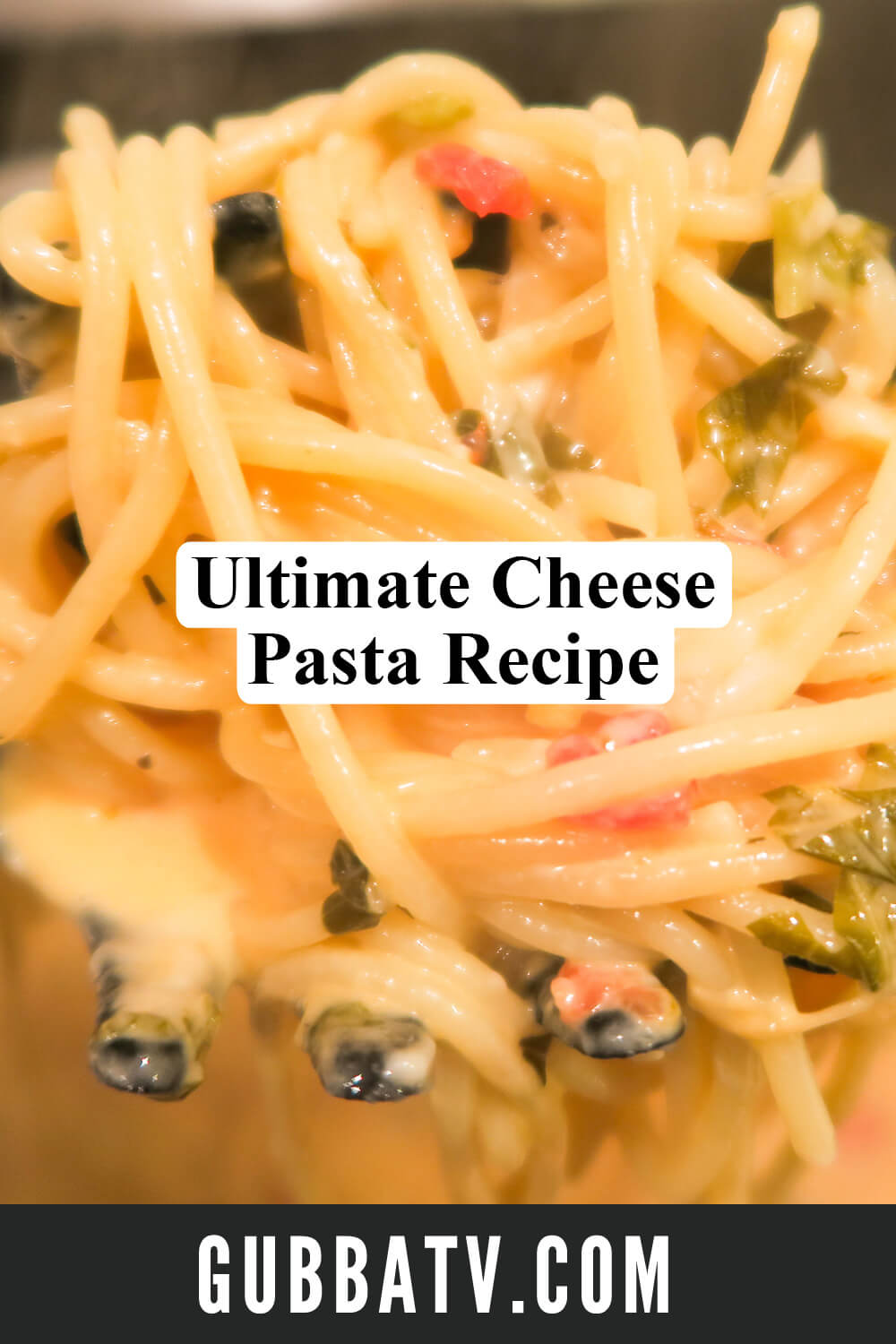 Creamy Cheese Pasta Recipe