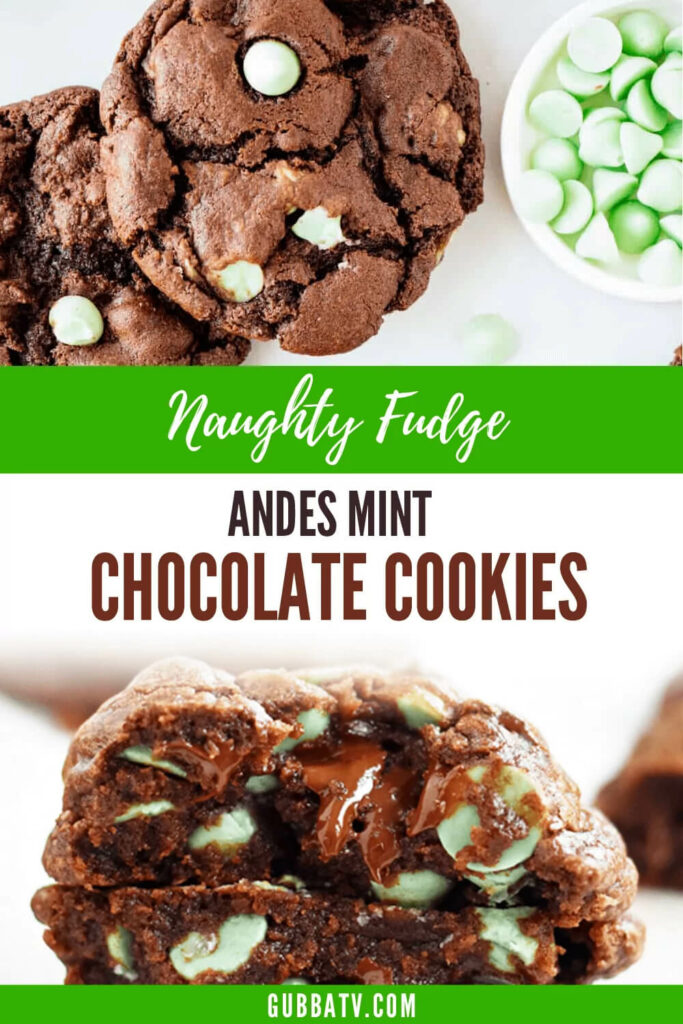 Andes Mint Double Fudge Cookies