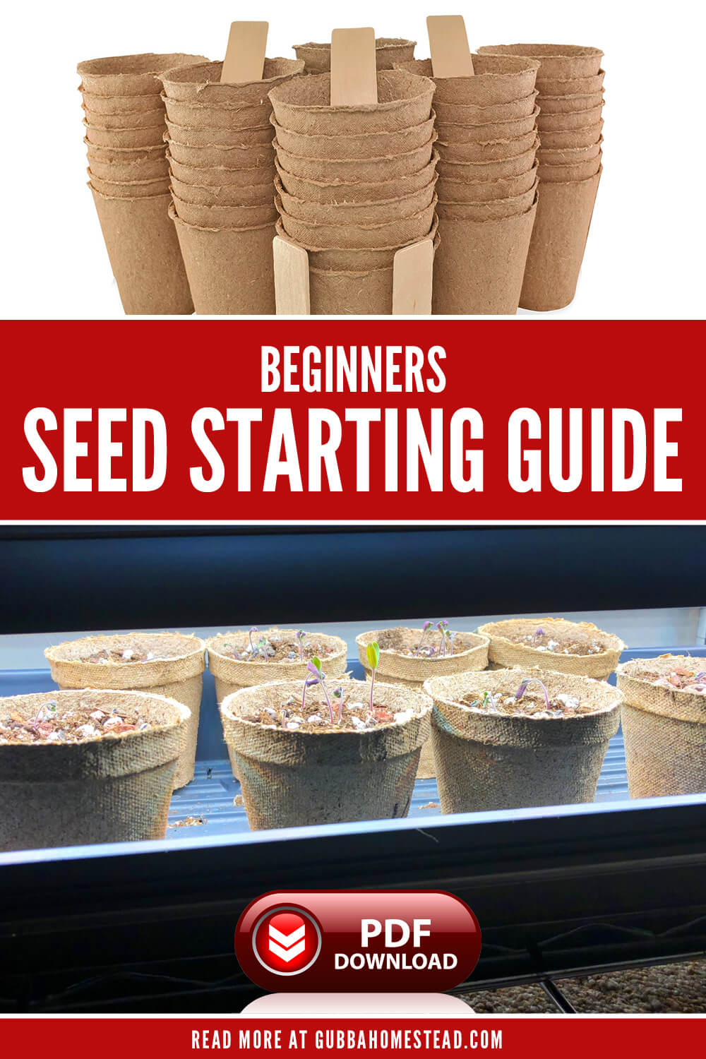 Beginners Seed Starting Guide