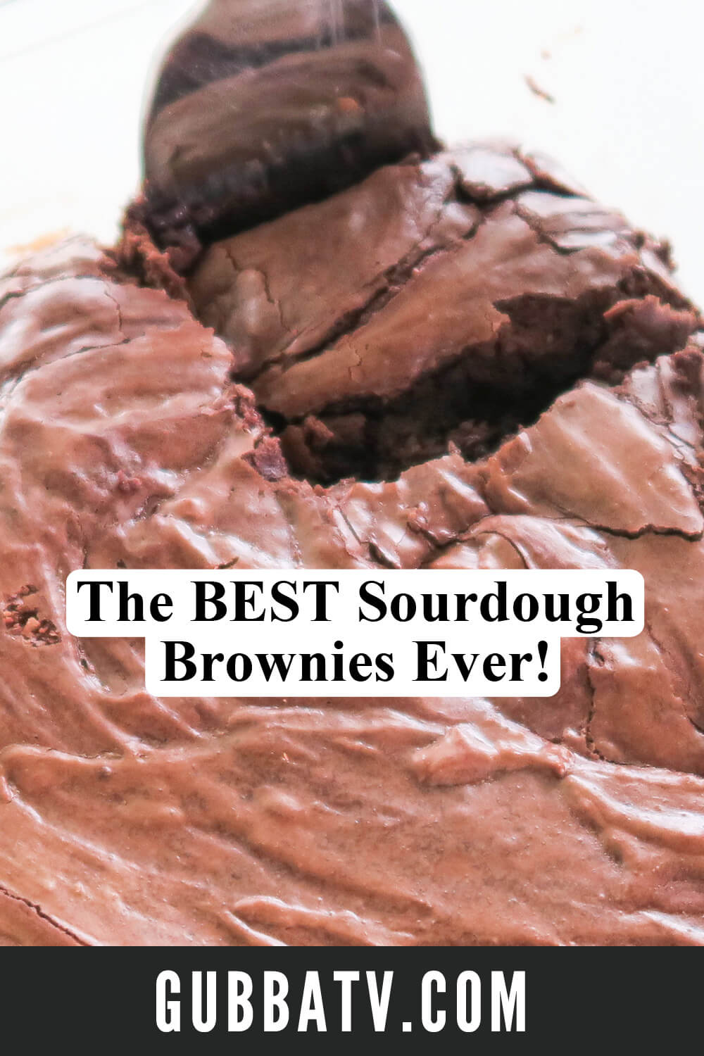 Chocolaty Sourdough Brownies