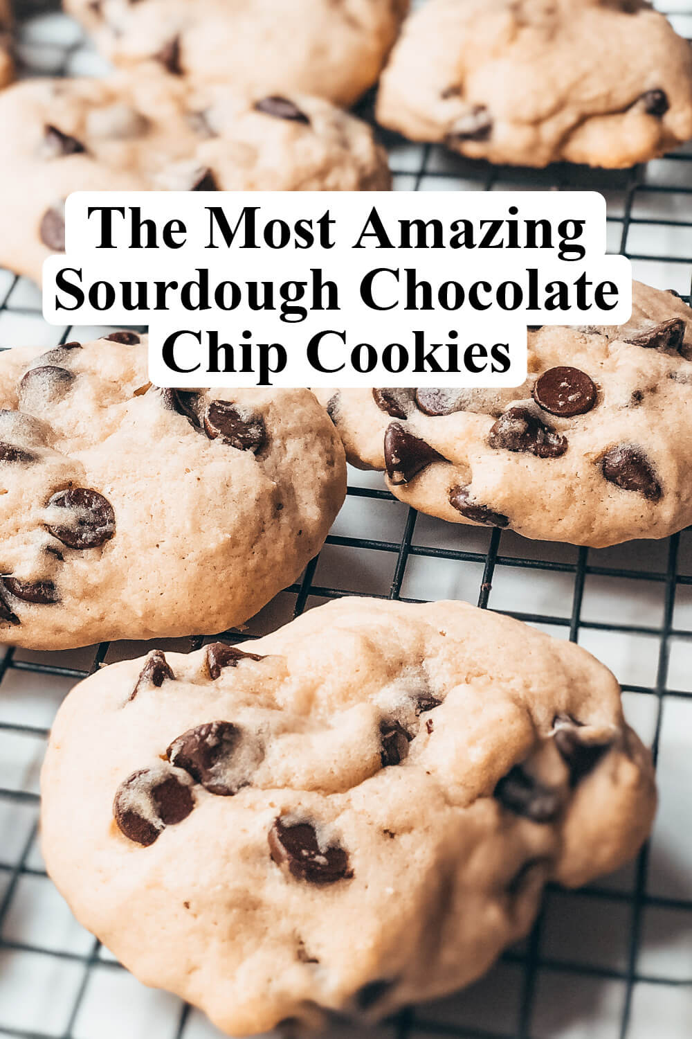 Sourdough Cookies Choco Chip