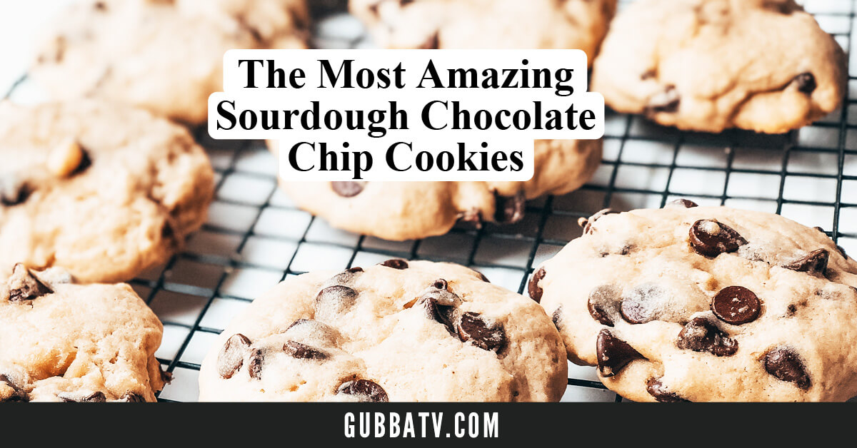 Sourdough Cookies Choco Chip - Gubba Homestead