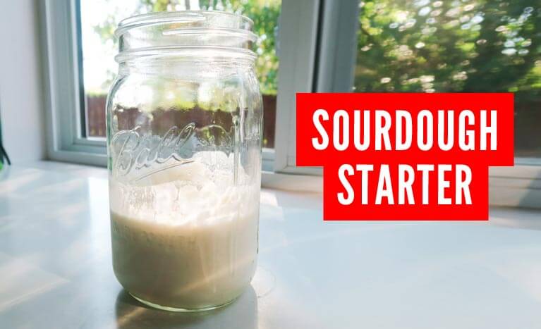 sourdough starter