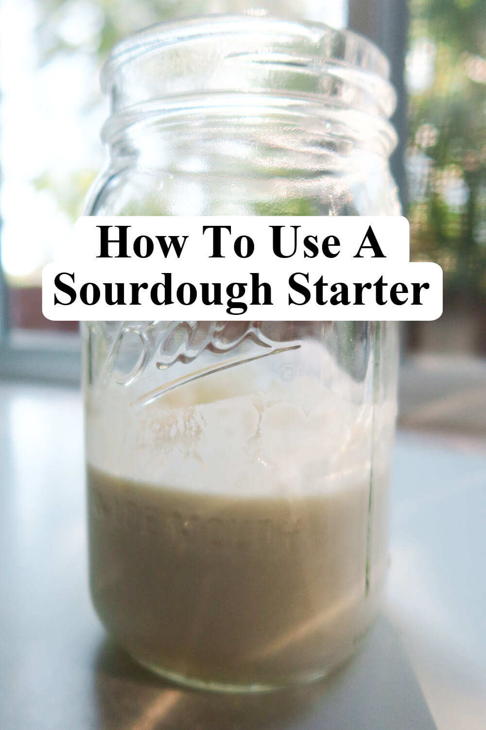 https://gubbahomestead.com/wp-content/uploads/2022/02/sourdough-starter-pin.jpg