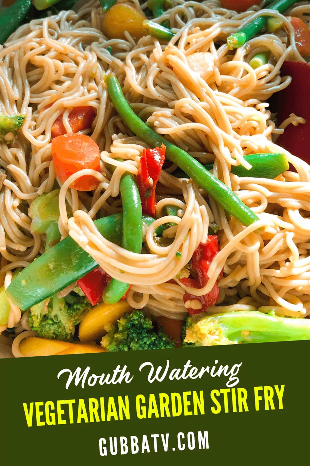 Mouth Watering Vegetarian Garden Stir Fry