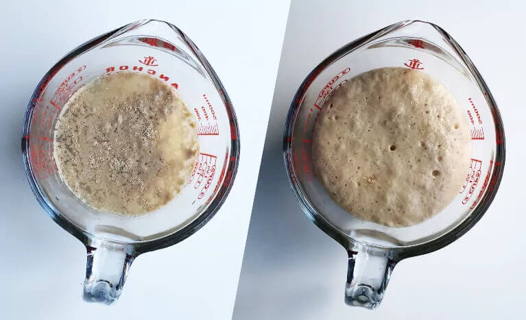 yeast in measuring cup