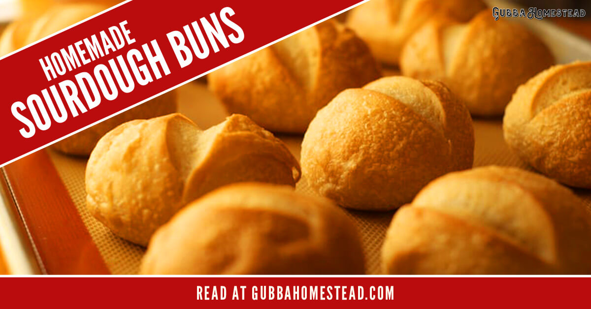 Homemade Sourdough Buns - Gubba Homestead