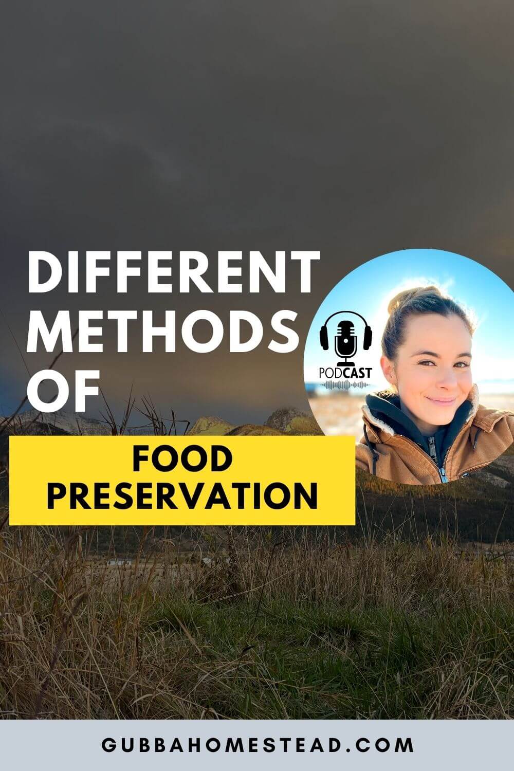 Different Methods For Home Food Preservation
