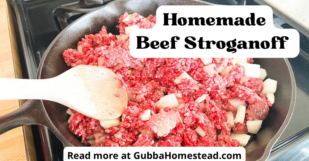 Best Beef Stroganoff Recipe - Gubba Homestead