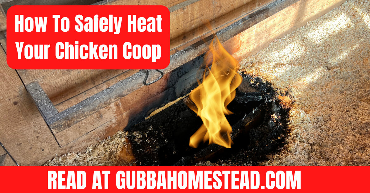 How To Safely Heat Your Chicken Coop Gubba Homestead