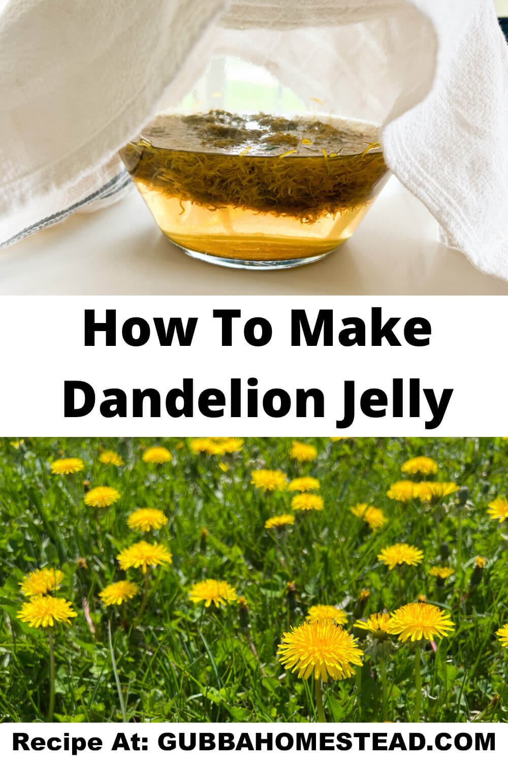 How To Make Dandelion Jelly
