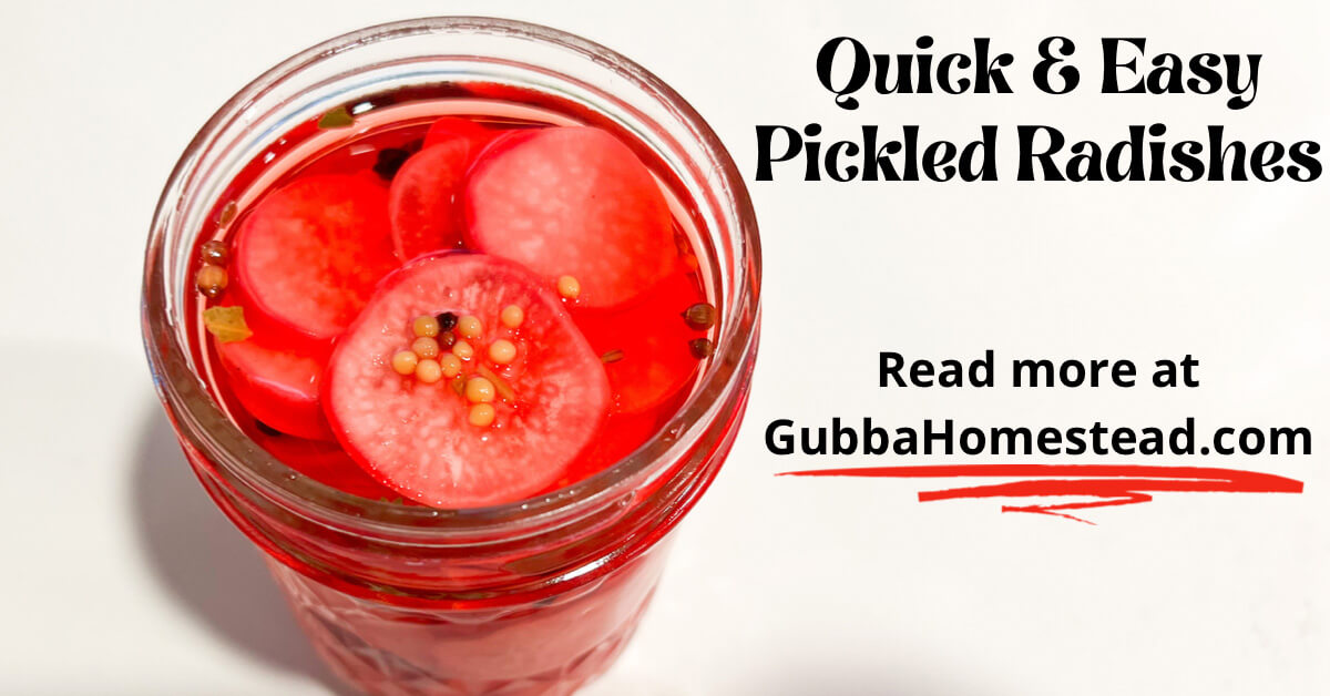 Homestead Style Pickled Radishes - Gubba Homestead
