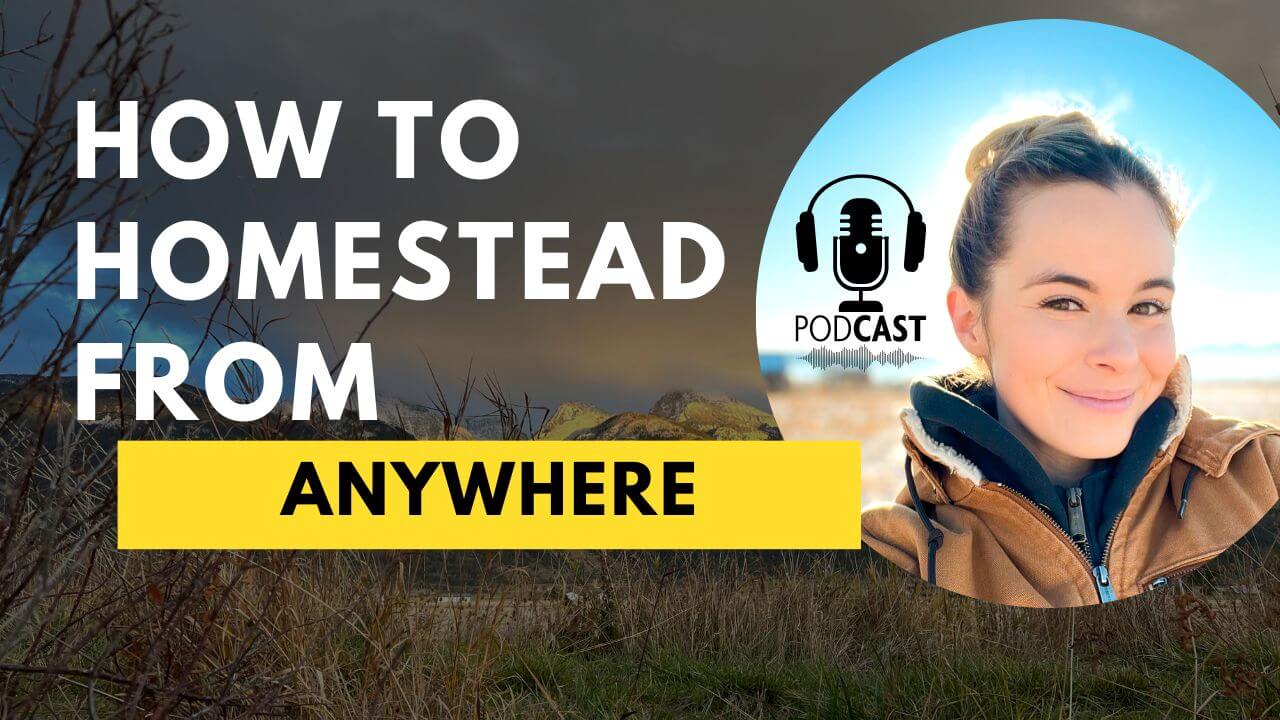 How To Homestead From Anywhere Gubba Homestead