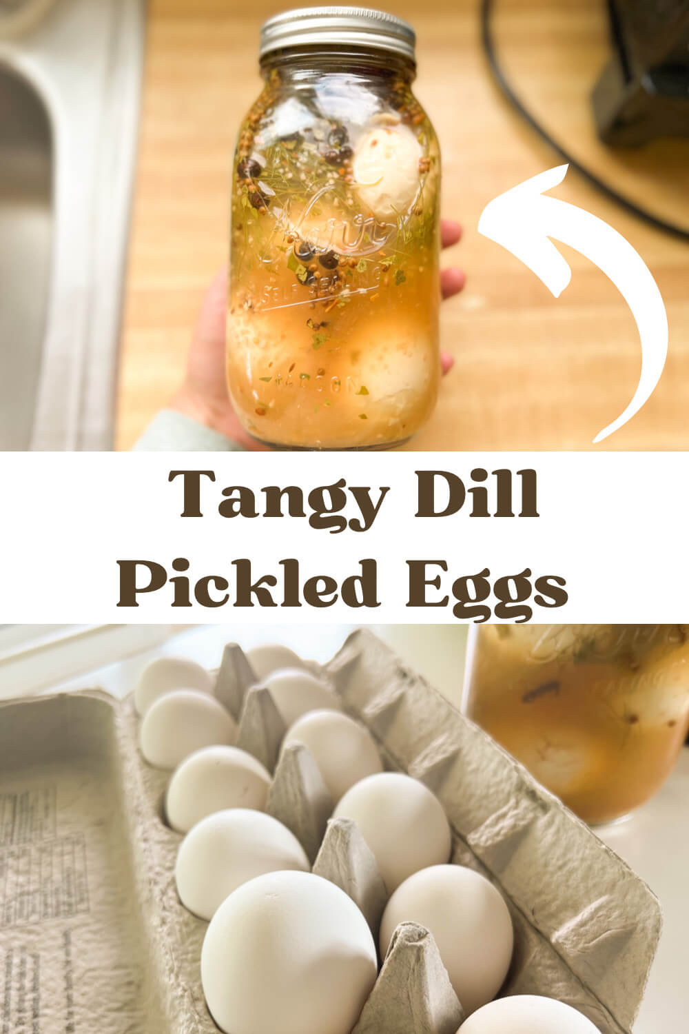 Tangy Dill Pickled Eggs