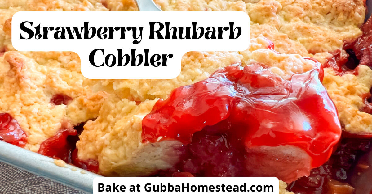 Strawberry Rhubarb Cobbler - Gubba Homestead