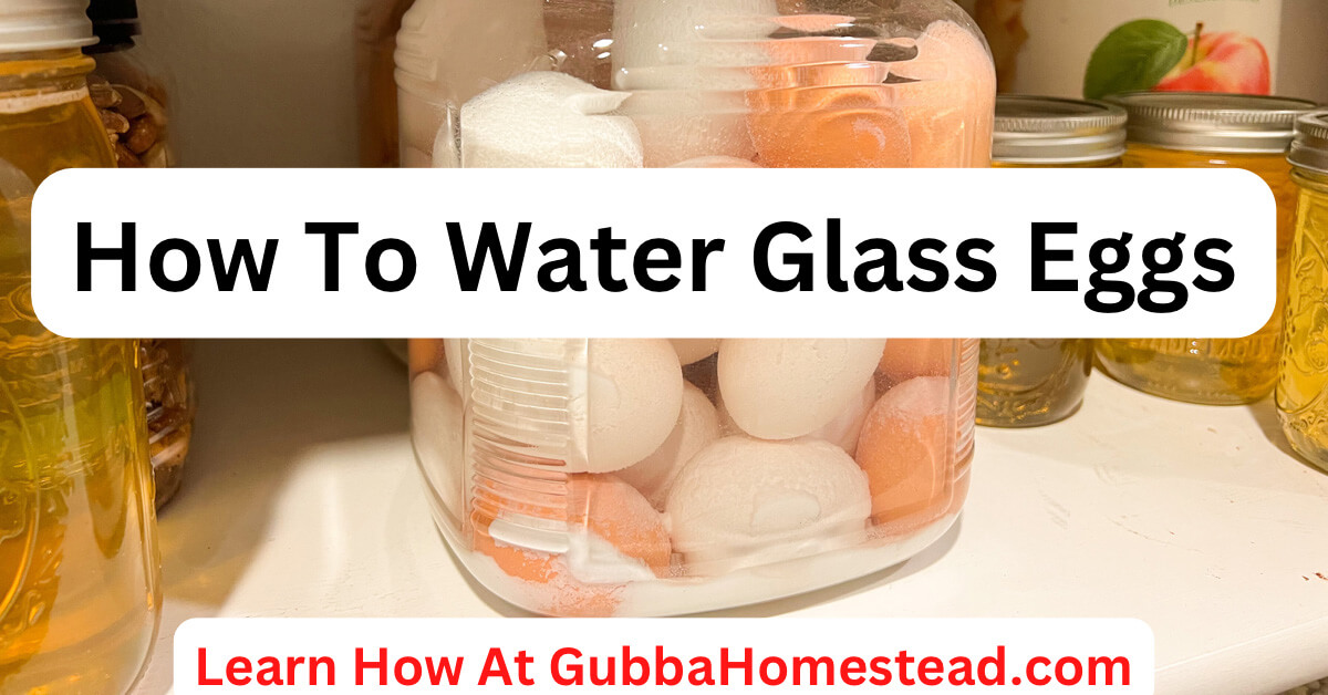 https://gubbahomestead.com/wp-content/uploads/2022/10/water-glassing-eggs-how-to.jpg