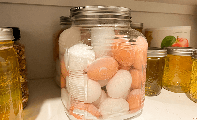 Storing and Preserving Chicken Eggs