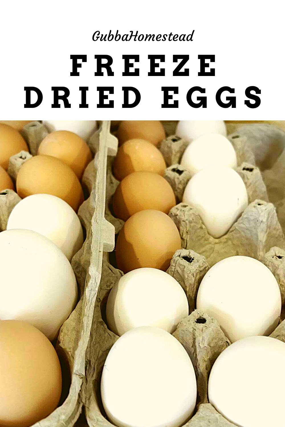 Freeze Dried Eggs