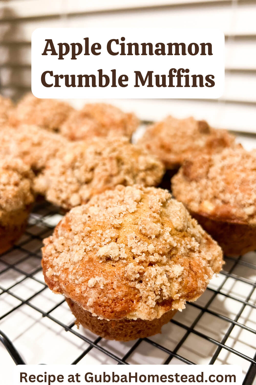 Apple Cinnamon Crumble Muffins
