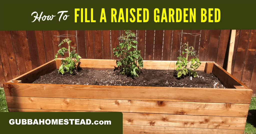 How To Fill A Raised Garden Bed - Gubba Homestead