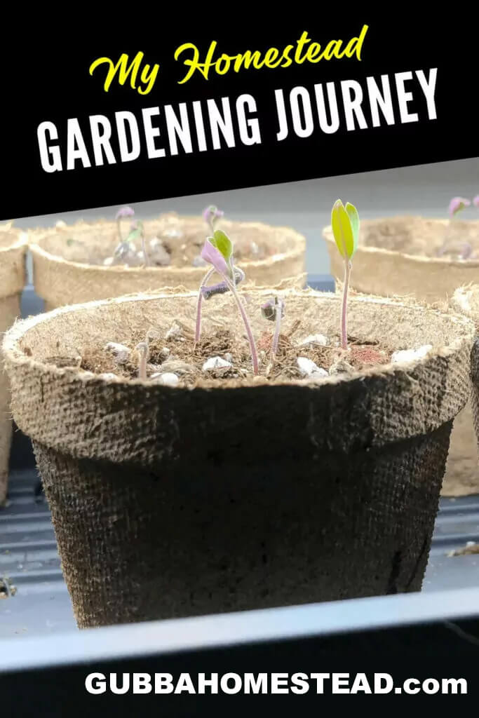 My Homestead Gardening Journey