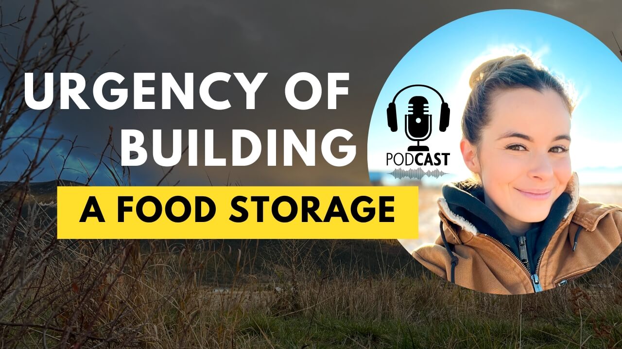 Urgency Of Building A Food Storage Gubba Homestead