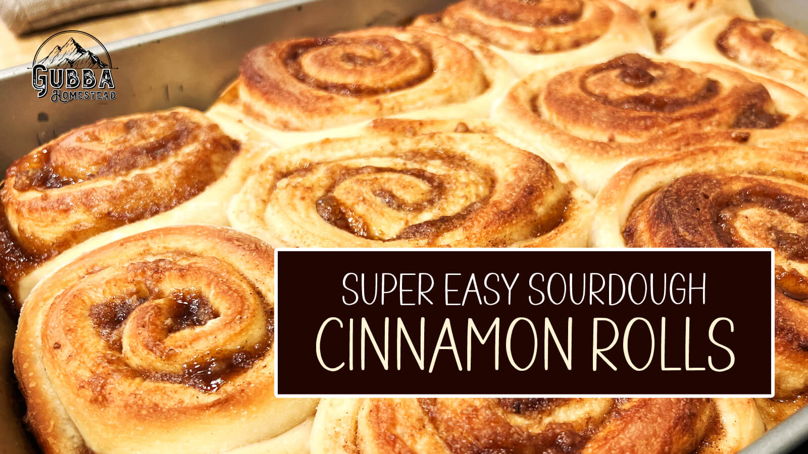 Super Easy Sourdough Cinnamon Rolls Gubba Homestead