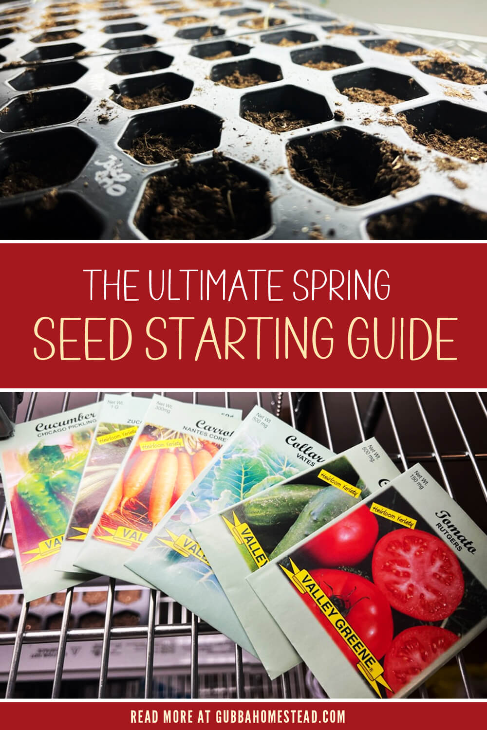 The Ultimate Spring Seed Starting Guide