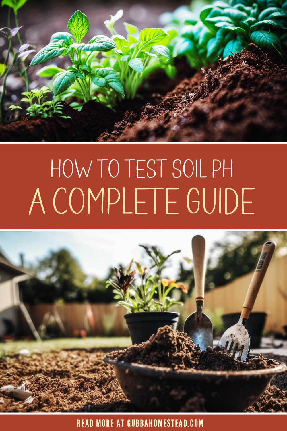 How To Test Soil pH A Complete Guide