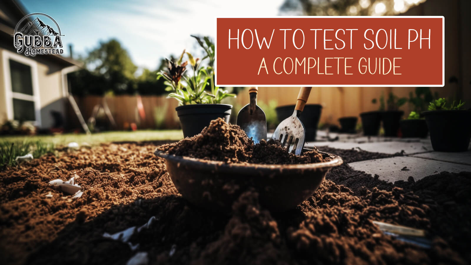 How To Test Soil Ph A Complete Guide Gubba Homestead