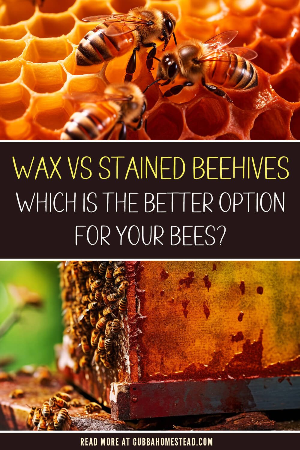 Wax vs Stained Beehives: Which is the Better Option for Your Bees?