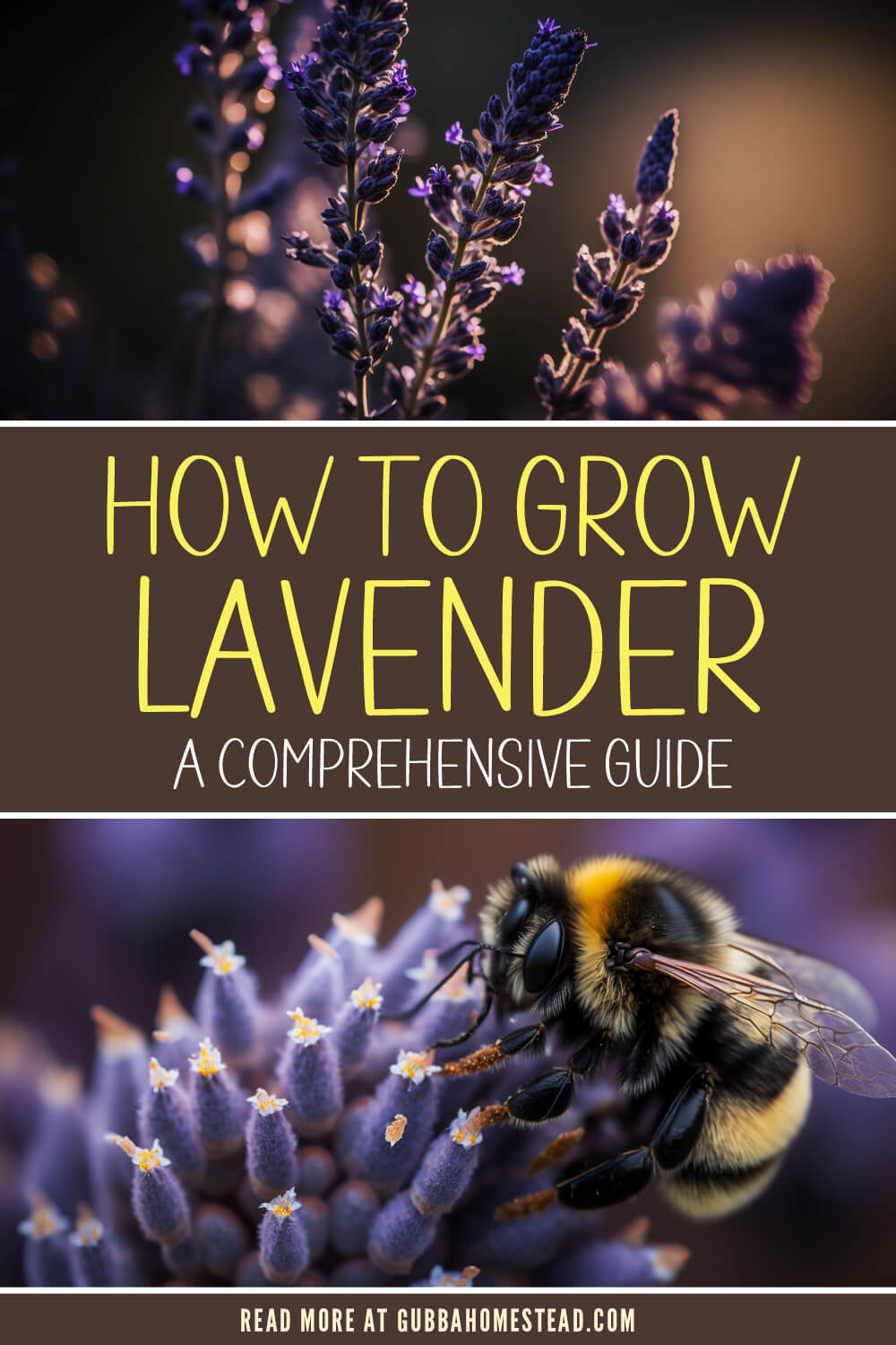 How To Grow Lavender: A Comprehensive Guide