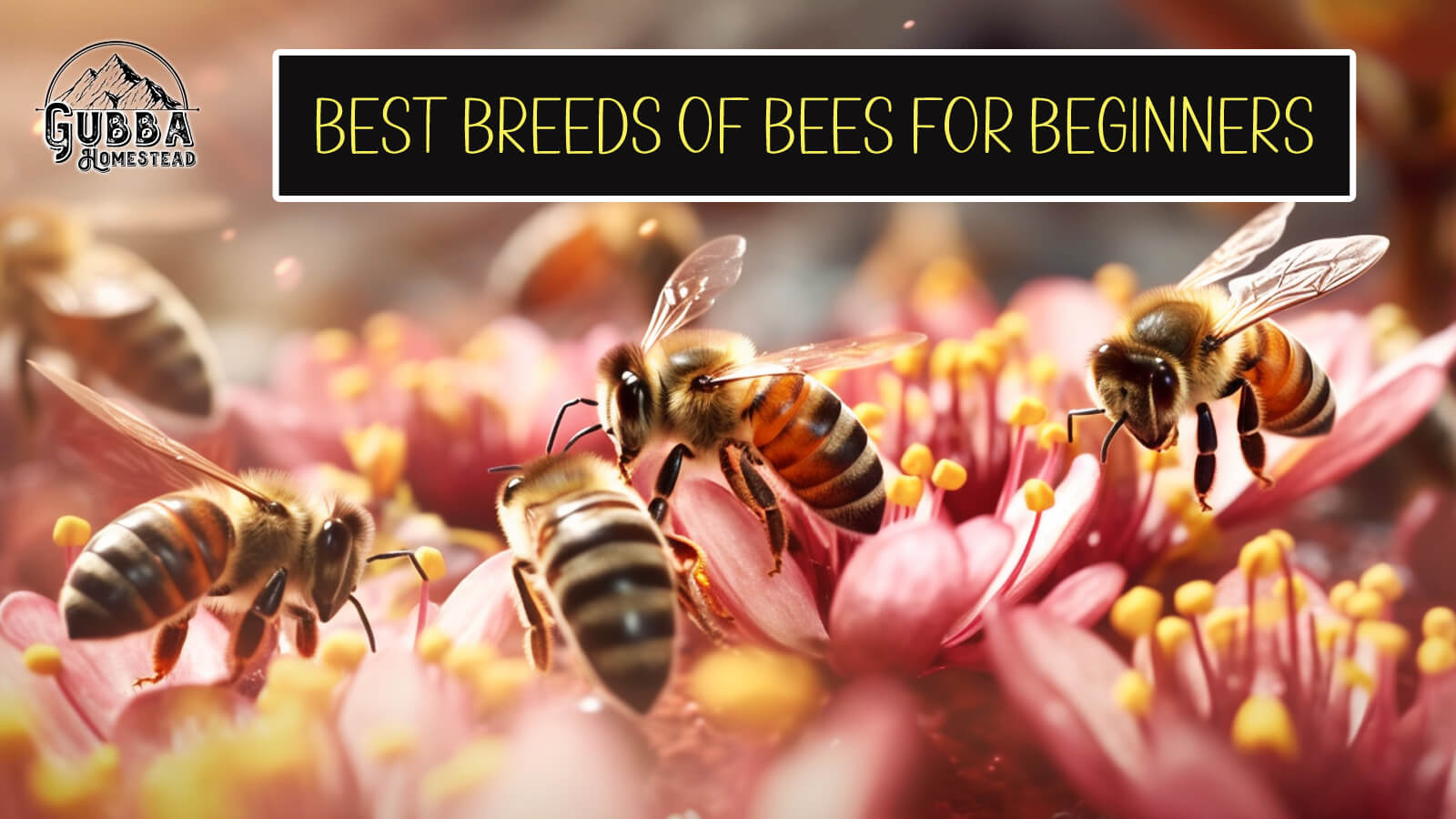 Best Breeds of Bees for Beginners A Guide to Choosing the Right Bees