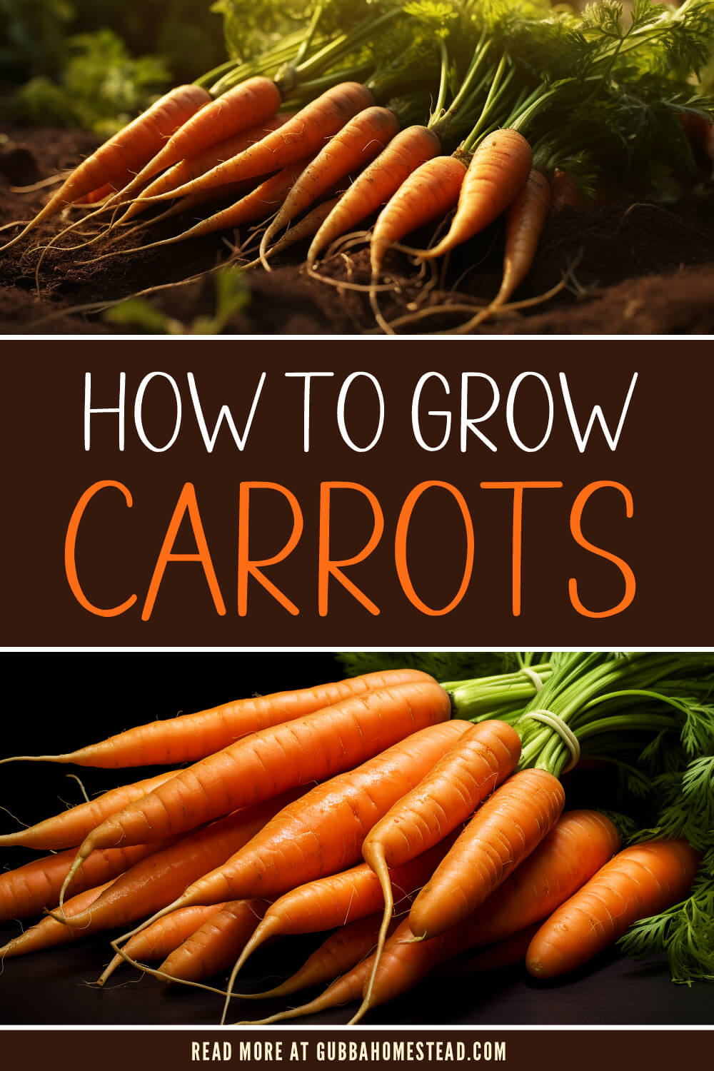 How to Grow Carrots: A Guide to Cultivating Delicious Orange Beauties