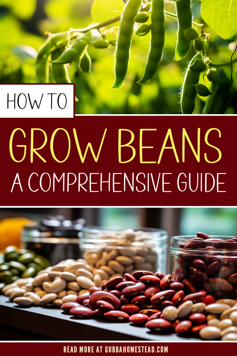 How to Grow Beans: A Comprehensive Guide to Growing Pole Beans, Bush Beans, and Bean Seeds