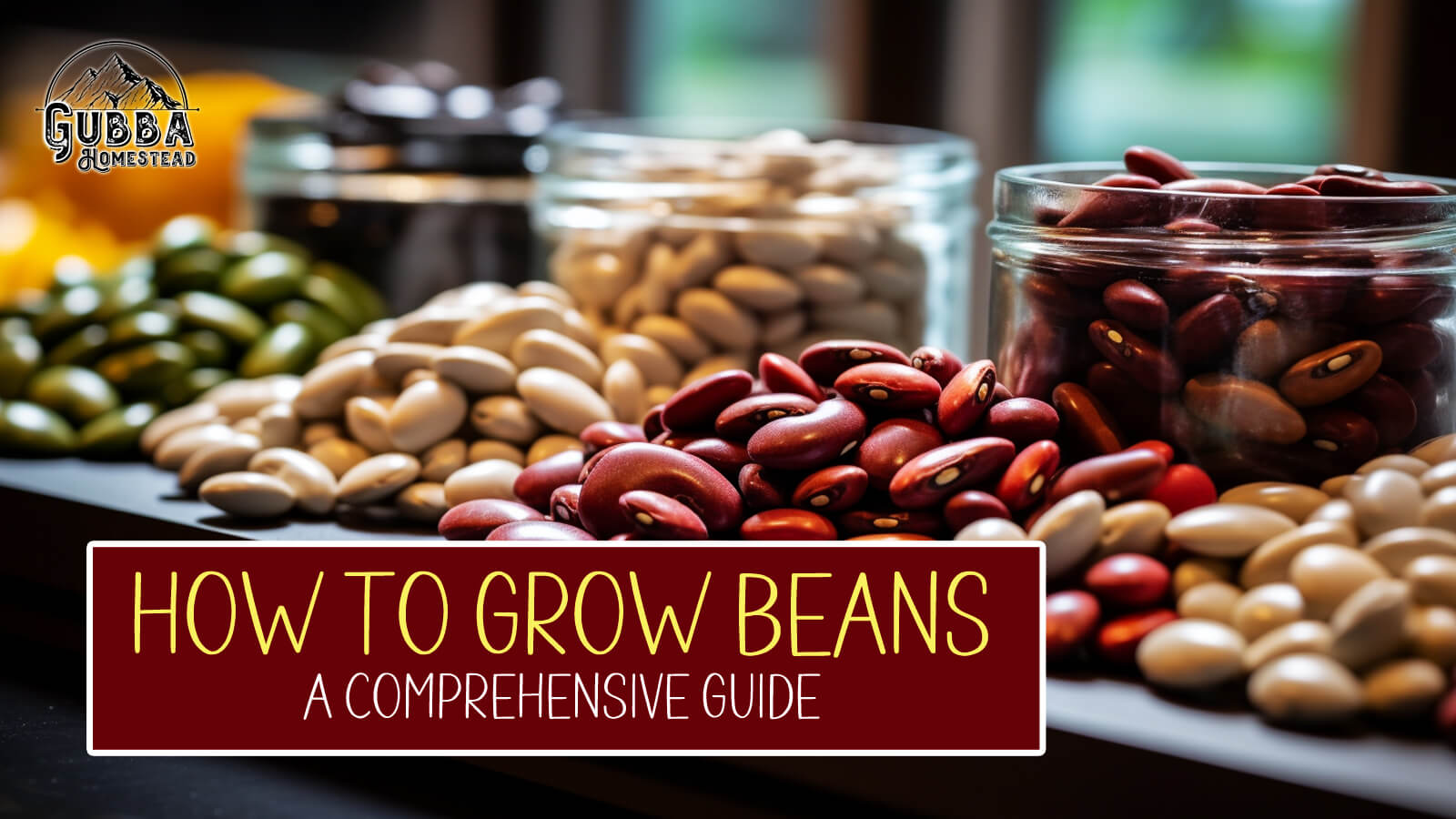 How to Grow Beans A Comprehensive Guide to Growing Pole Beans, Bush