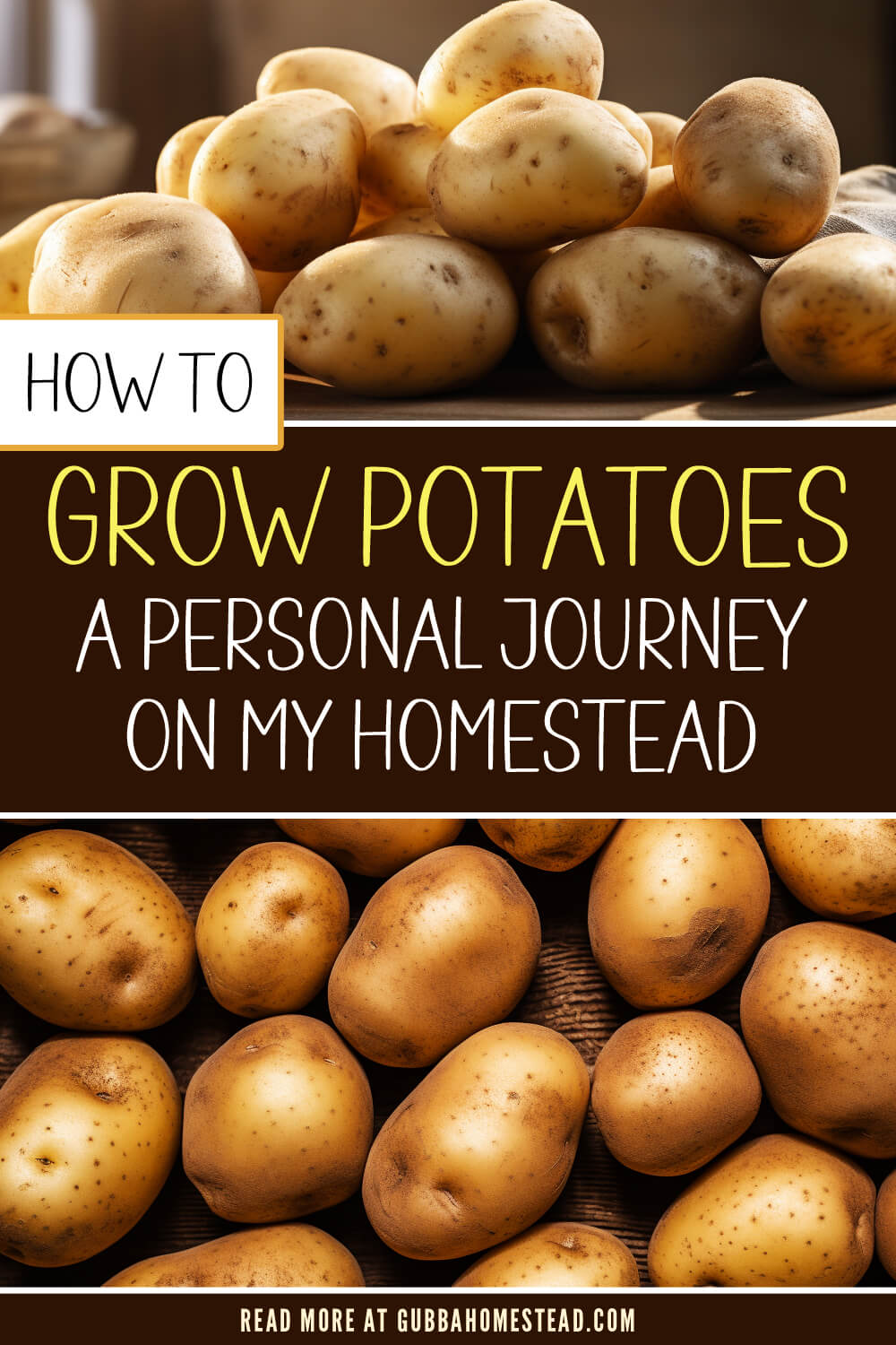How to Grow Potatoes: A Personal Journey on My Homestead