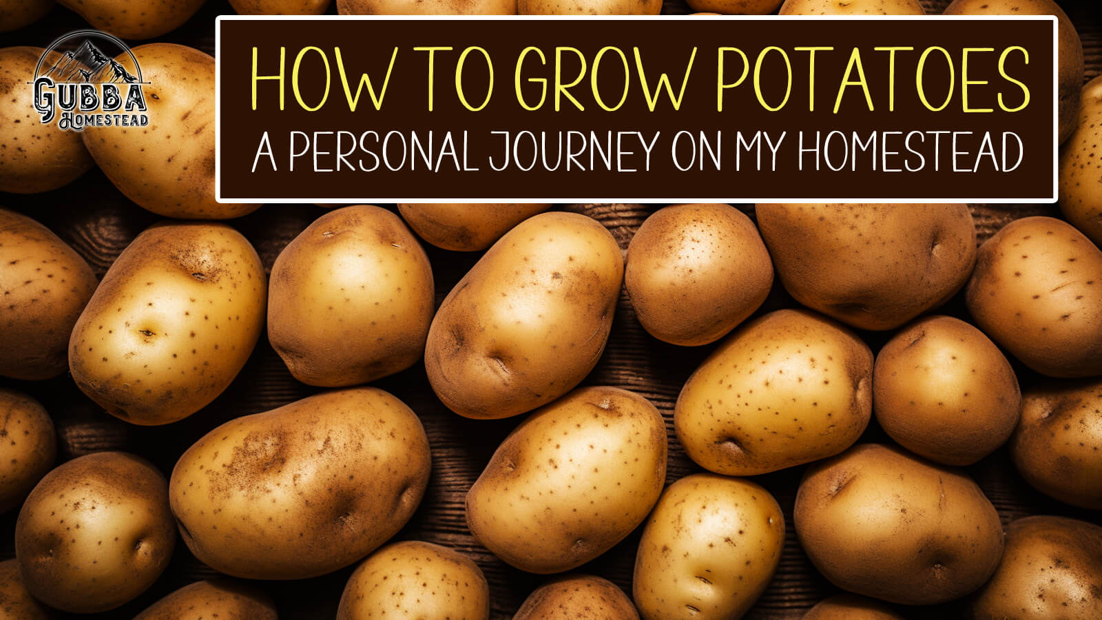 How To Grow Potatoes: A Personal Journey On My Homestead - Gubba Homestead